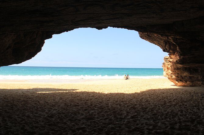 Santa Monica NO Stress Tour - Passing Turtle & Shark Bay: viewpoints and the thrill of spotting wildlife