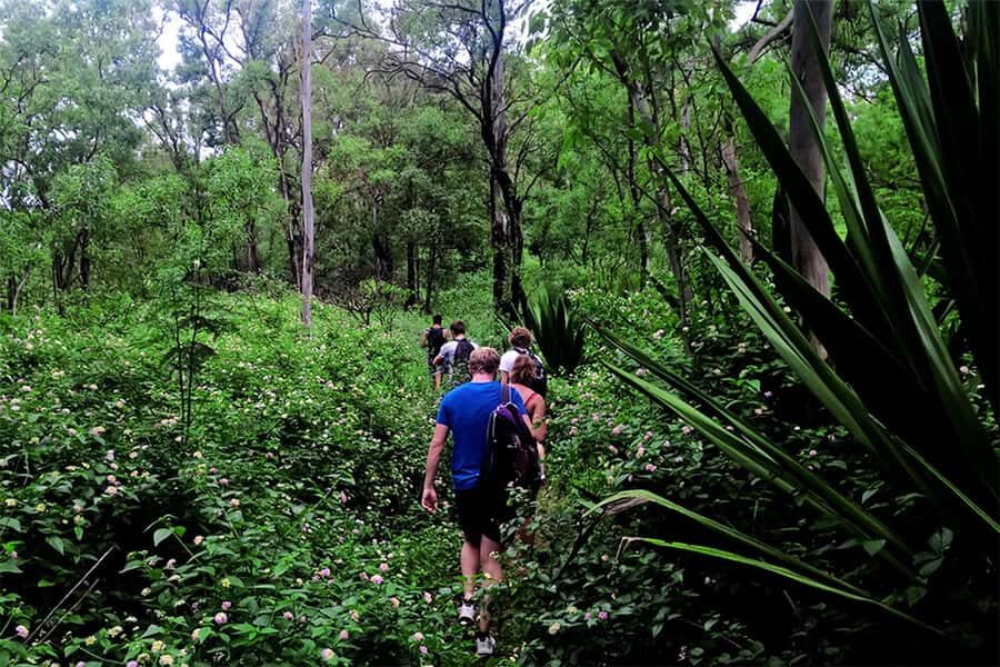 Santiago Island: Serra Malagueta & Tarrafal Beach Trek Tour - Picnic time: simple food, good energy, real timing