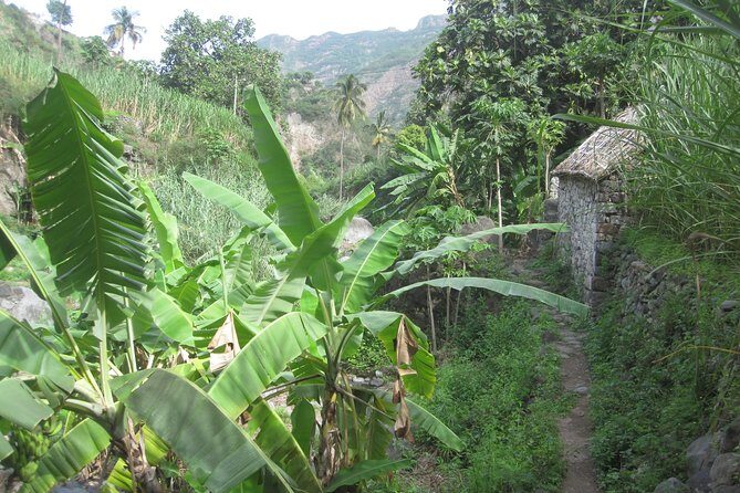 Santo Antão: Day Trip by Car or Trek - Should you book this Santo Antão car-and-trek day trip?