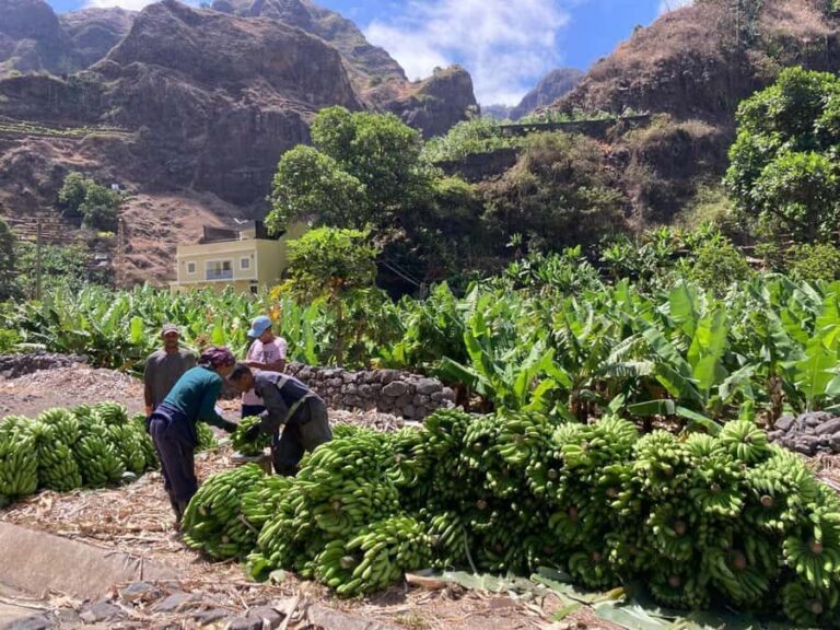 Santo Antão Highlights: Day Trip by Car with Ferry from SV - Porto Novo Meets Your Guide: Getting Oriented Fast