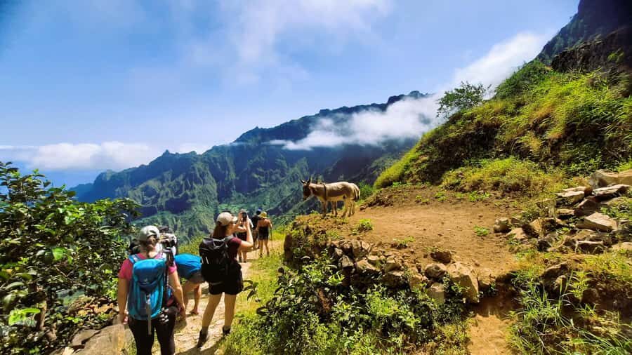 Santo Antão: Hiking Cova Volcano Crater to Ribeira Paúl - Paúl Valley: where plantations, dense vegetation, and views meet