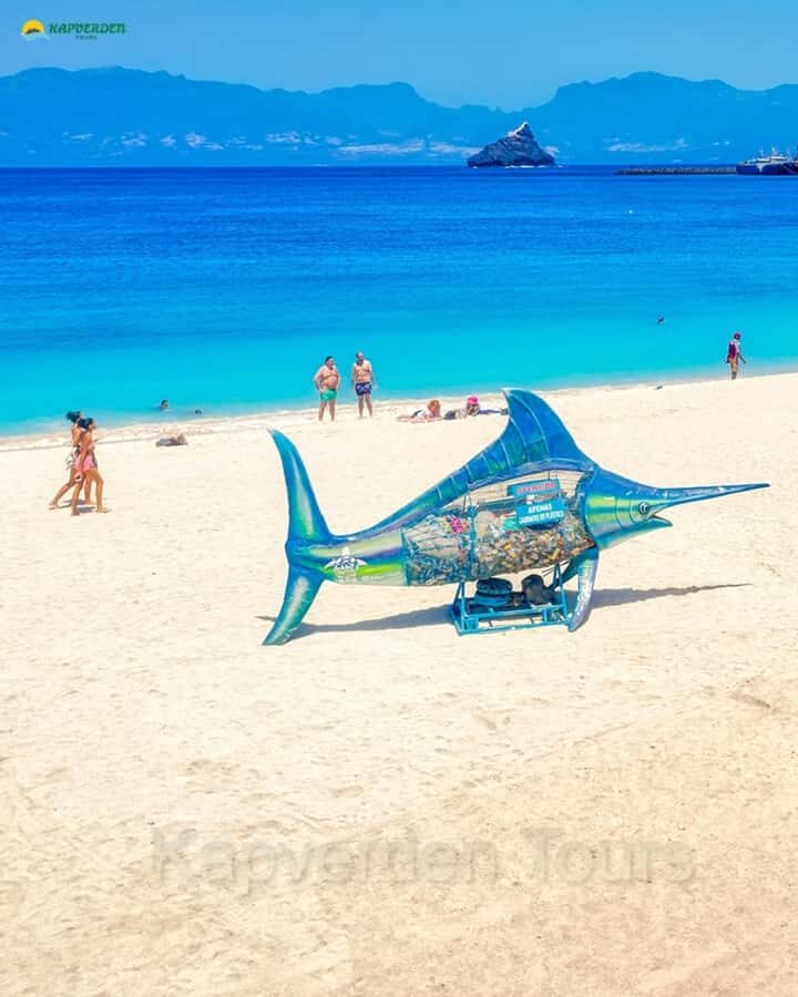 São Vicente: Markets, Mountains, Fishing Villages & Beaches - Quick Highlights Worth Your Time