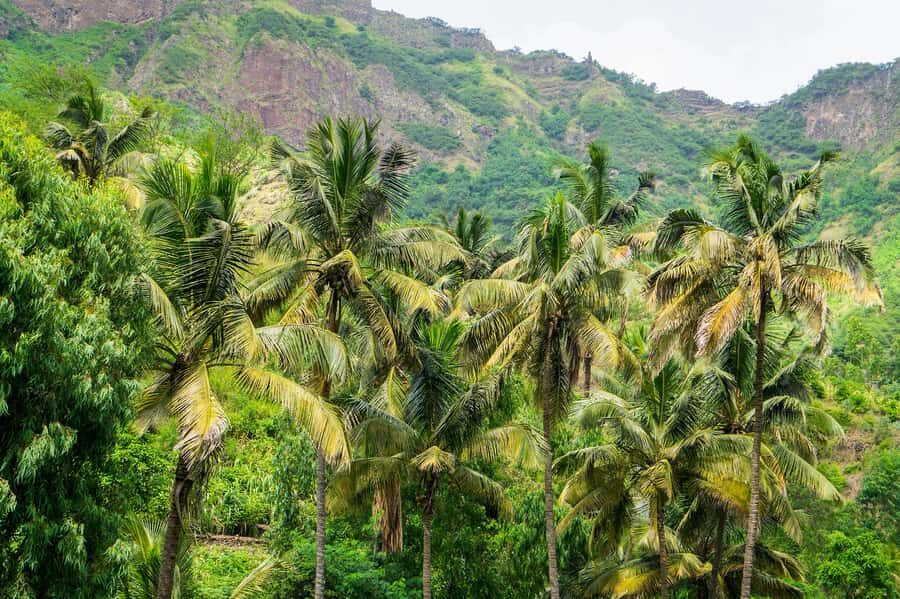 Serra Malagueta: Principal Valley Hike & Lunch with Locals - What to bring (and what to wear) so the hike feels easier