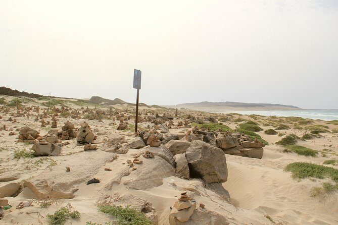 Shipwreck Cabo Santa Maria - What to bring (and what to expect) for a smooth day