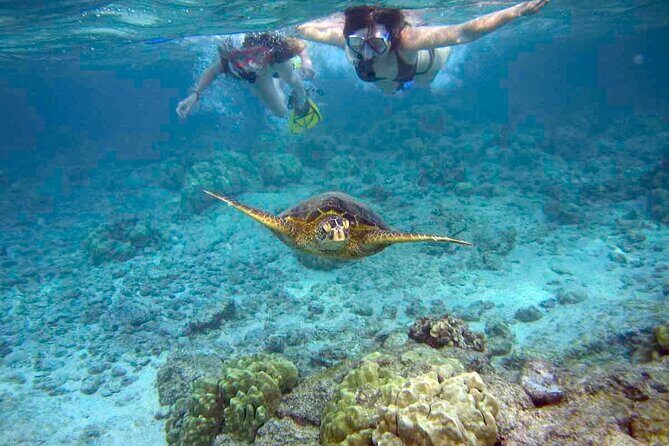 Snorkeling Experience in Santa Maria Bay by boat - Quick highlights you’ll care about