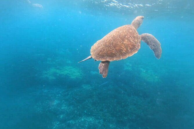Snorkeling Experience in Santa Maria Bay by boat - Santa Maria Bay: why this snorkeling feels different