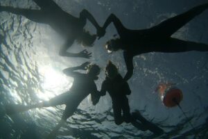 Snorkeling Experience in Santa Maria Bay by boat - From 2:00 pm to the water: how the outing runs