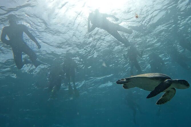 Snorkeling Experience in Santa Maria Bay by boat - Group size, pickup, and the logistics that save energy