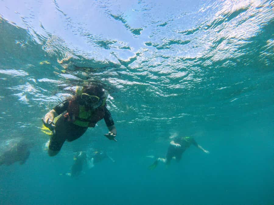 Snorkelling trip with certificate local guide - Comfort and safety: what to expect, and what to check