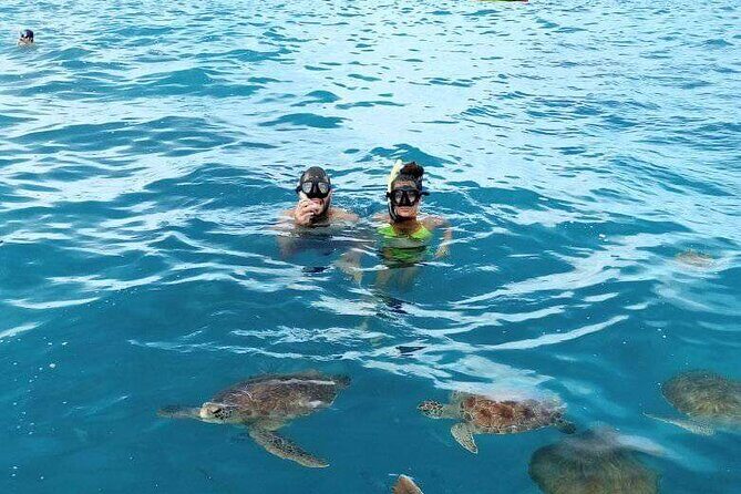 Spectacular experience with sea turtles - Should You Book This Sea Turtle Snorkeling in Mindelo?